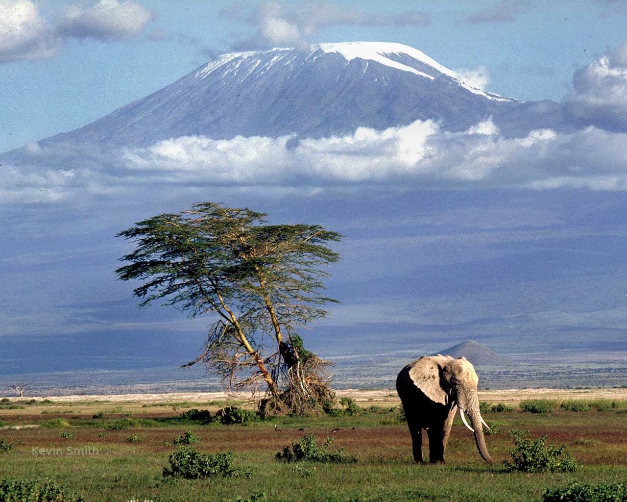 гора Килиманджаро